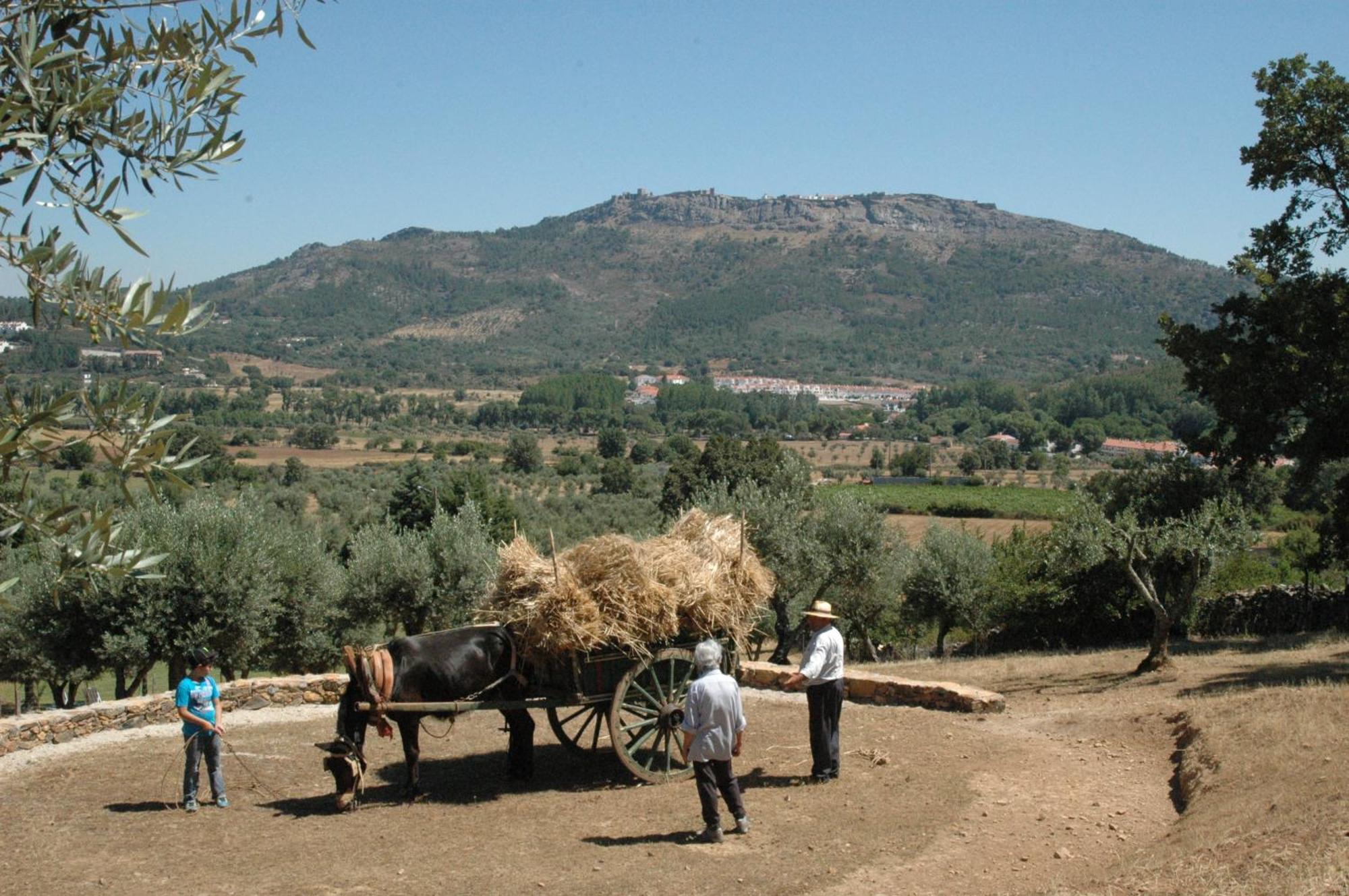 MarvãoQuinta Do Vaqueirinho - Agro-Turismo别墅 外观 照片