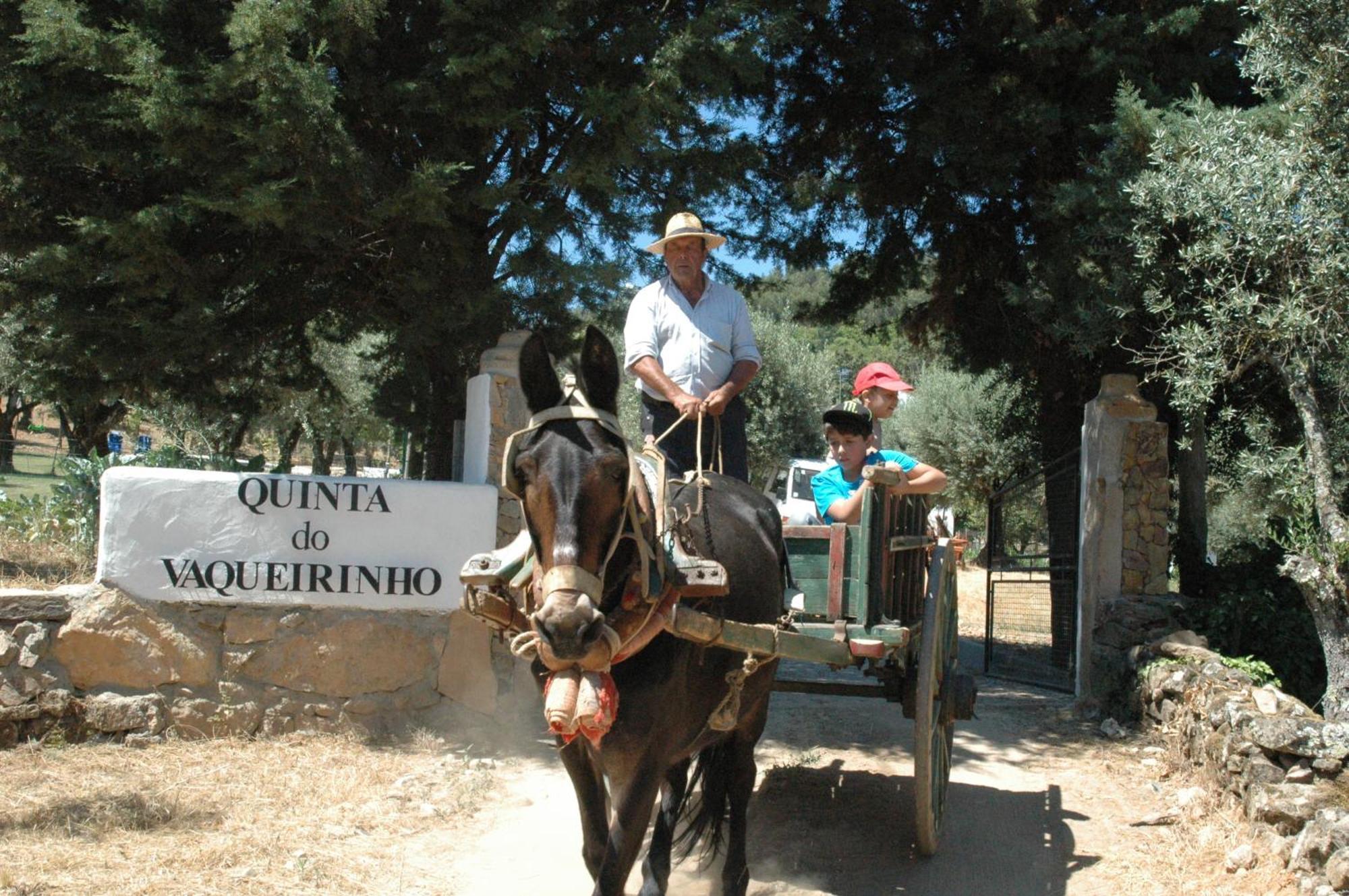 MarvãoQuinta Do Vaqueirinho - Agro-Turismo别墅 外观 照片