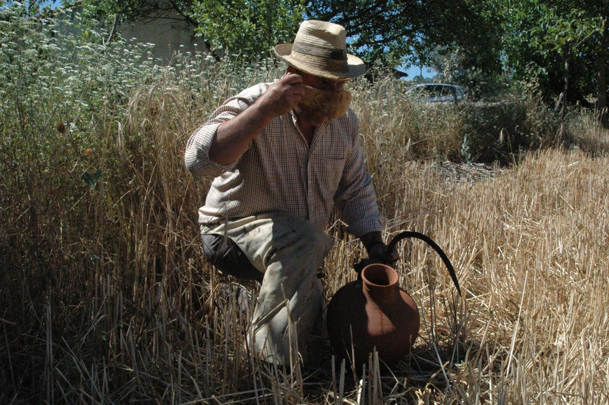 MarvãoQuinta Do Vaqueirinho - Agro-Turismo别墅 外观 照片