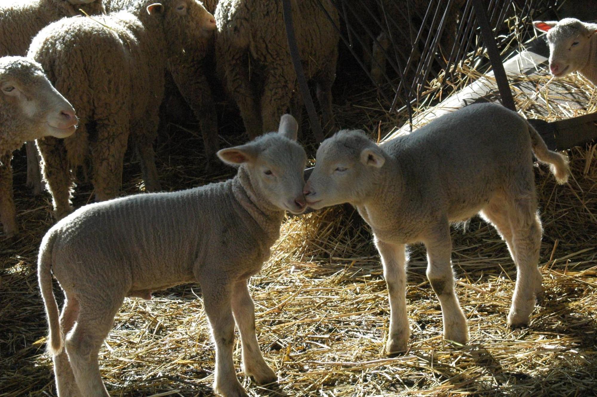 MarvãoQuinta Do Vaqueirinho - Agro-Turismo别墅 外观 照片