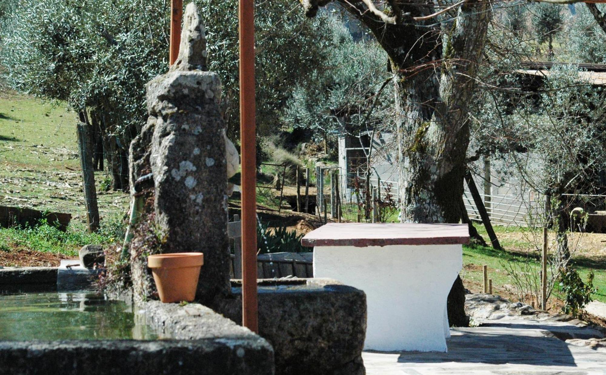MarvãoQuinta Do Vaqueirinho - Agro-Turismo别墅 外观 照片