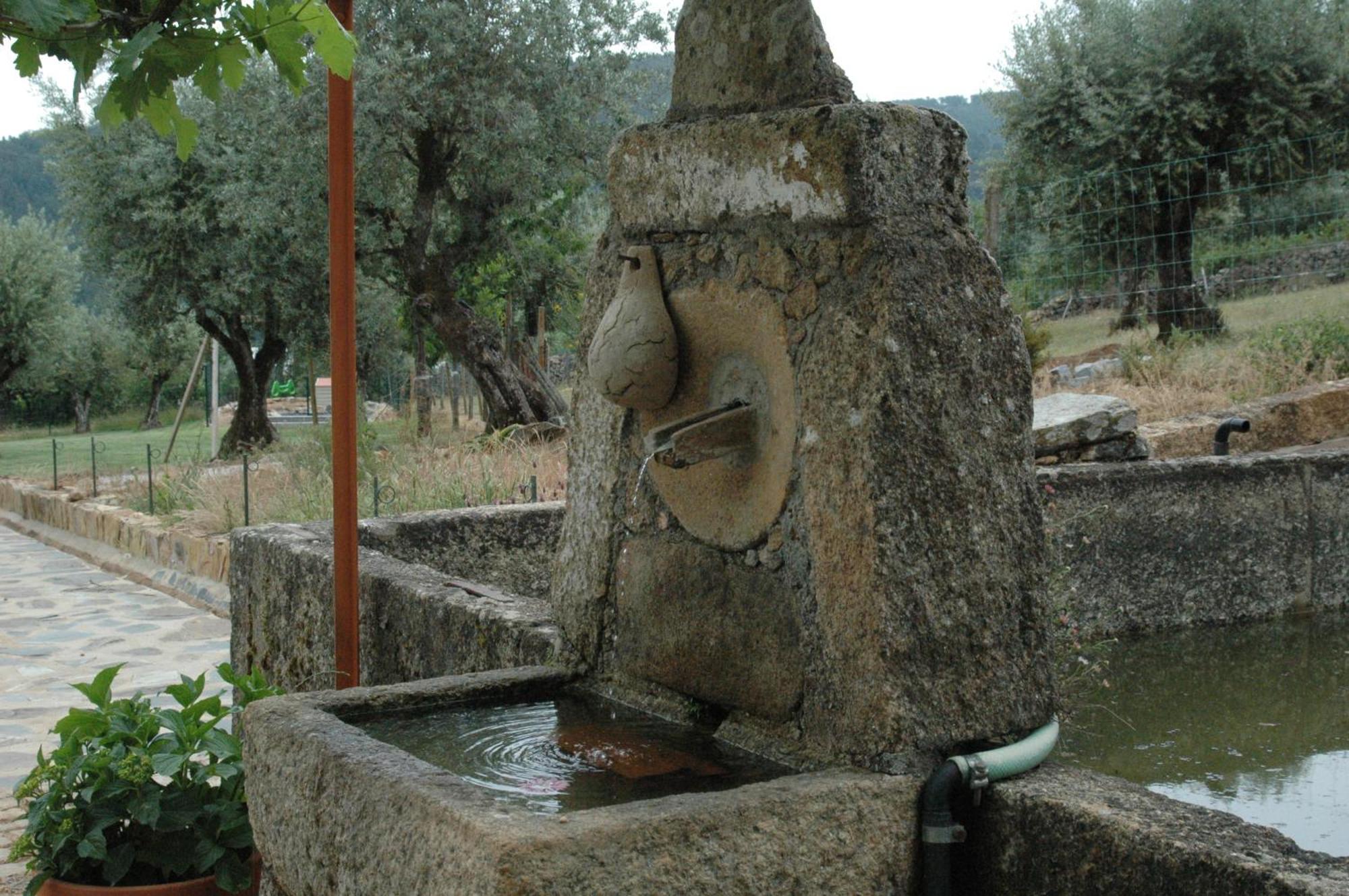 MarvãoQuinta Do Vaqueirinho - Agro-Turismo别墅 外观 照片