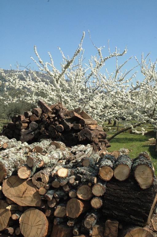 MarvãoQuinta Do Vaqueirinho - Agro-Turismo别墅 外观 照片